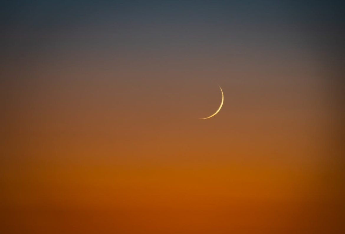 pexels solyartphotos 33659525