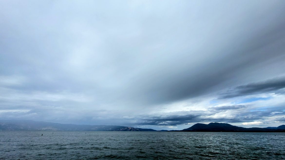 May Drizzle Photo